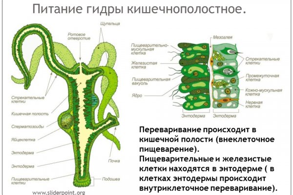 Кракен наркомагазин