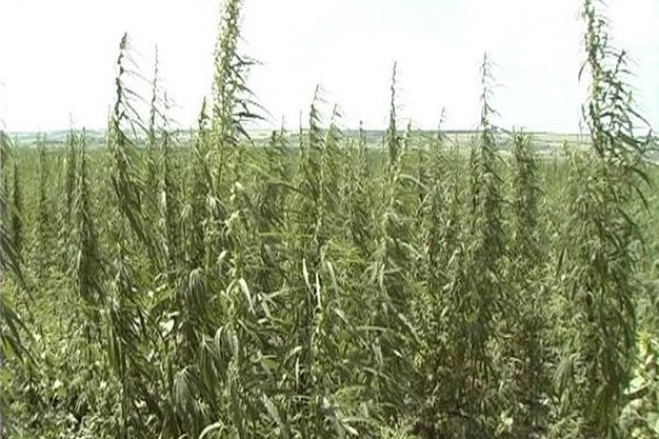 Удалился аккаунт кракен